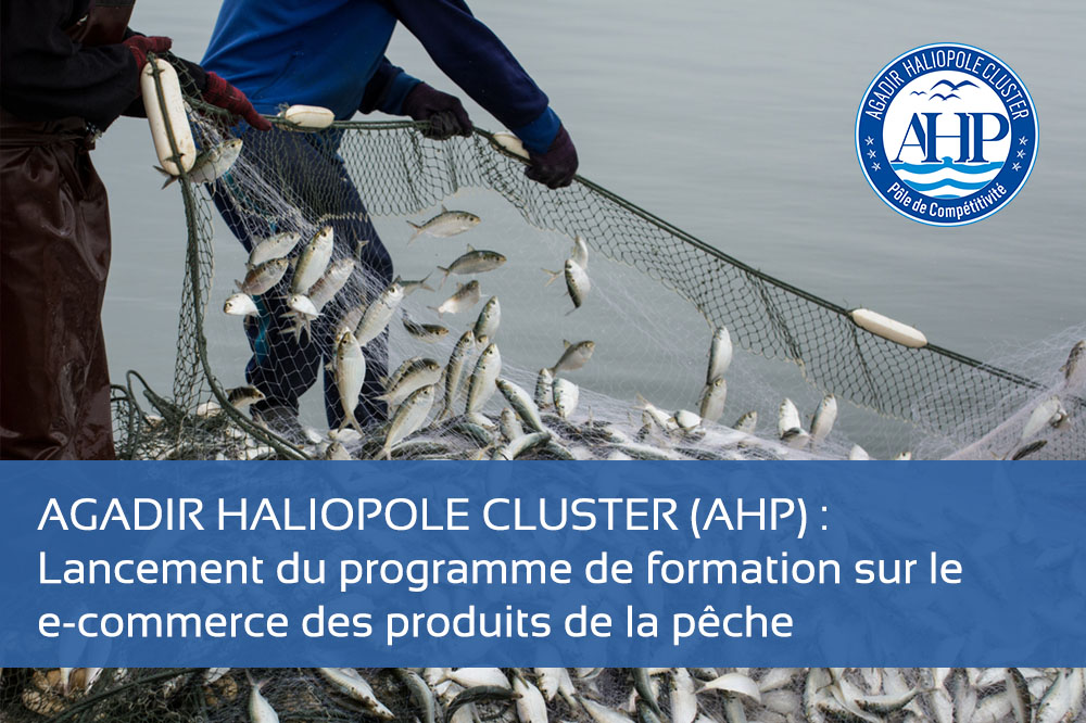 AGADIR HALIOPOLE CLUSTER (AHP) : Lancement du programme de formation sur le e-commerce des produits de la pêche